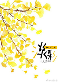 淡彩txt百度网盘